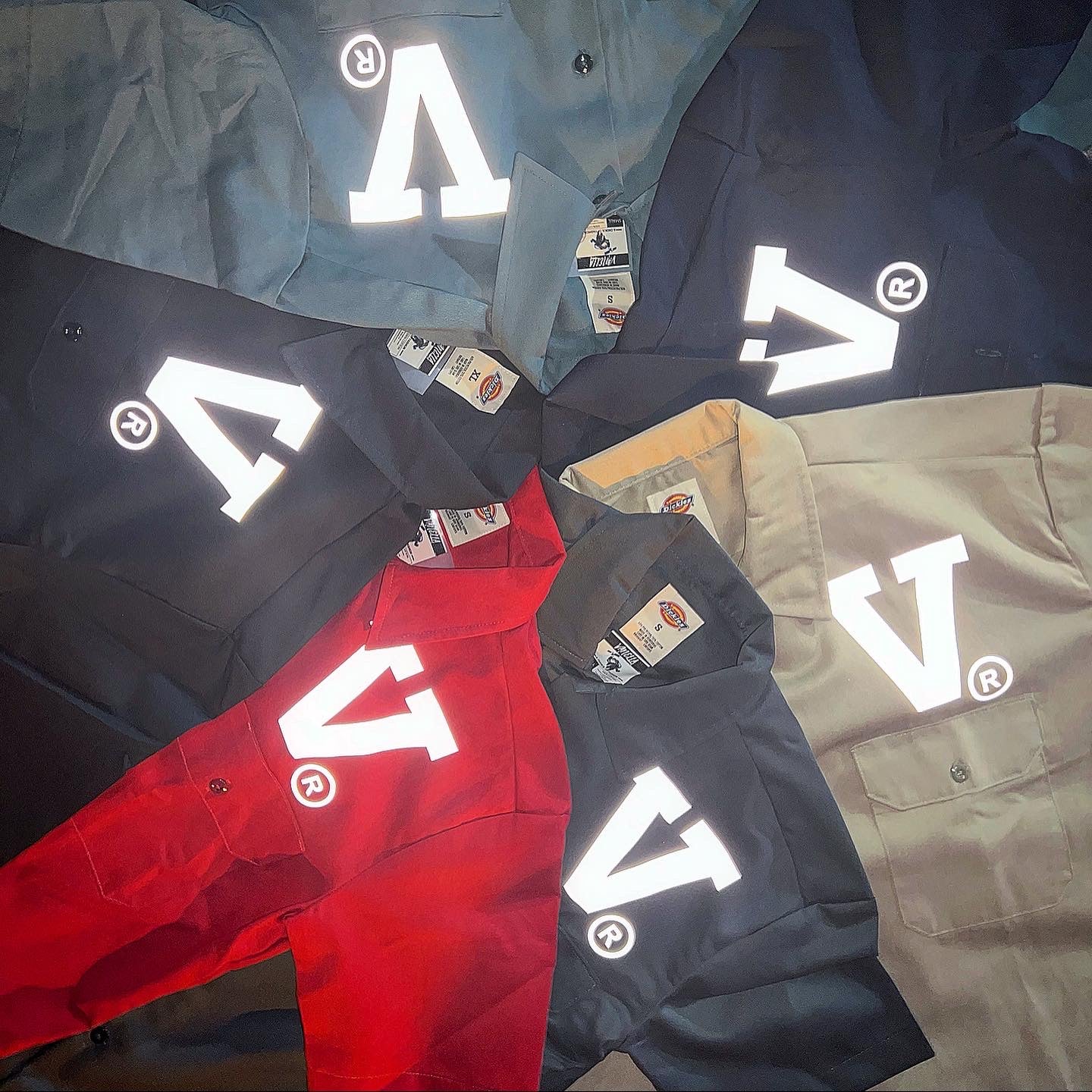 Vanella Dickie Shirts